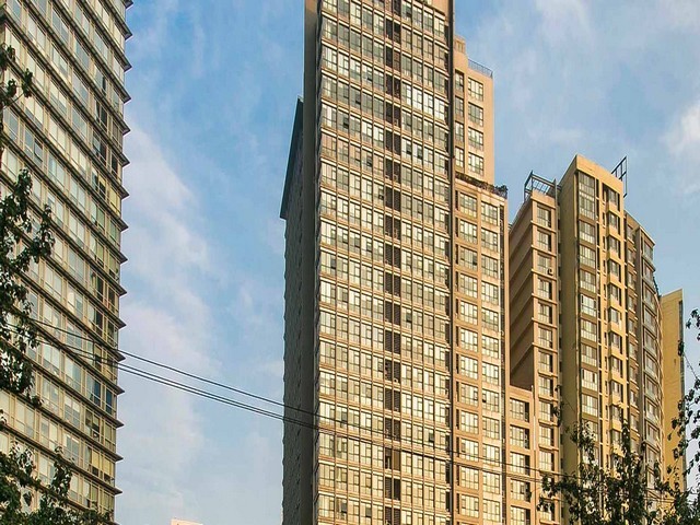 深圳PET离型膜厚度